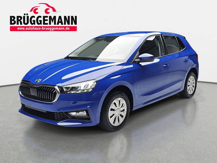 SKODA FABIA 1.0 MPI SELECTION KLIMAAUTO AUDIOSYSTEM CHROM PDC