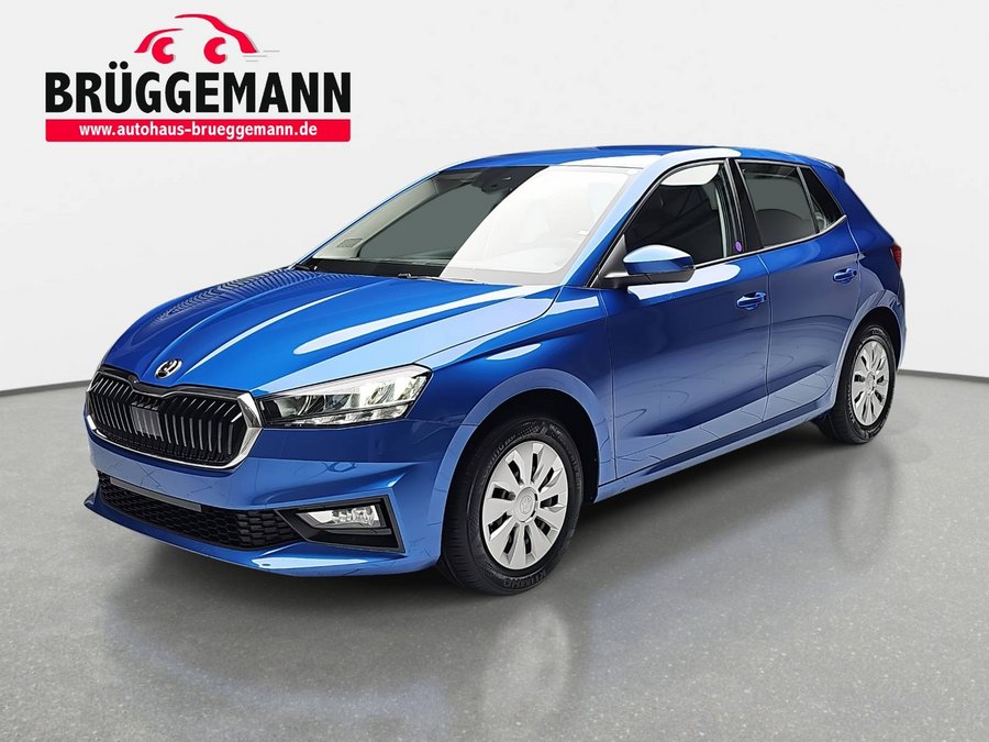 SKODA FABIA 1.0 MPI SELECTION LED KLIMAAUTO SMARTLINK WINTER P